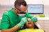 Medici Stomatologi / Dentisti